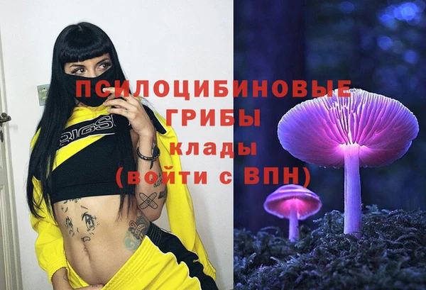 МДПВ Нефтекумск
