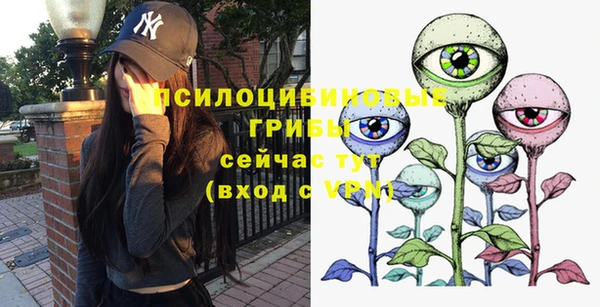 спиды Нея